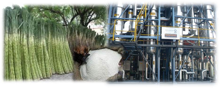 Cogeneration Systems for Sugar Industry