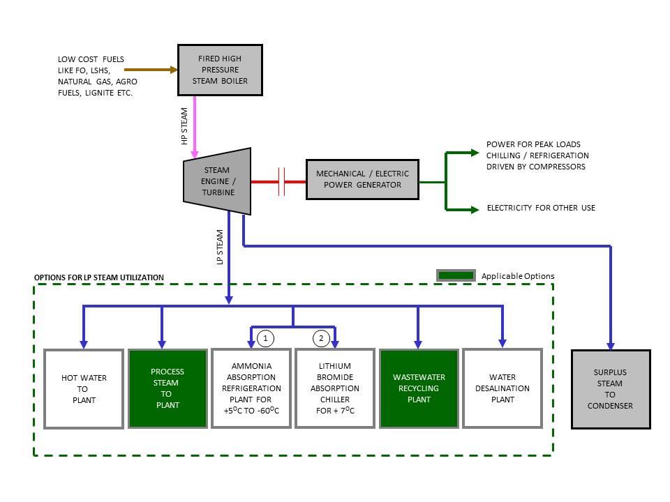 Cogeneration Plants