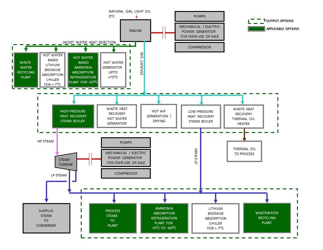 Cogeneration Plants