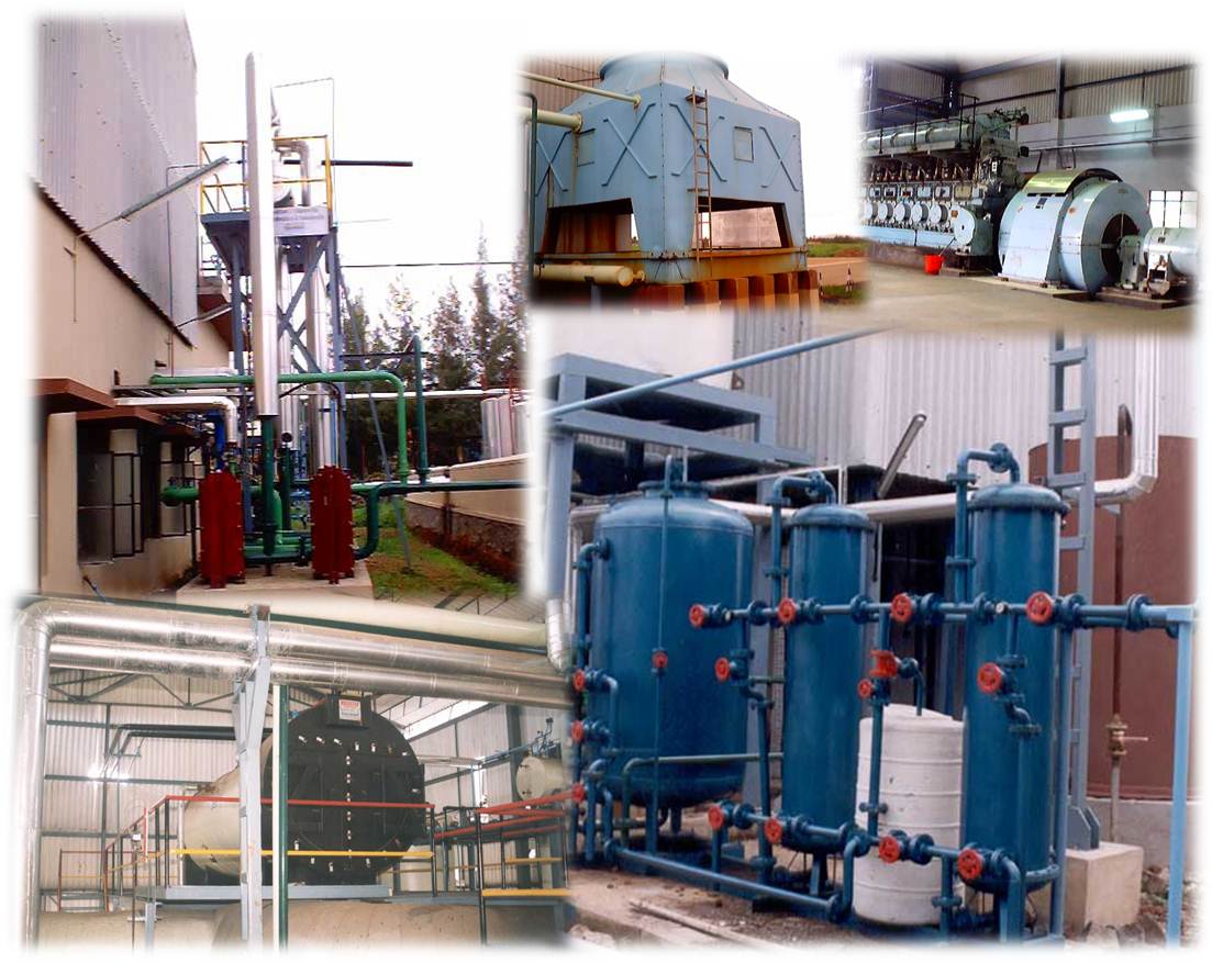 Cogeneration Systems for Paper Mill