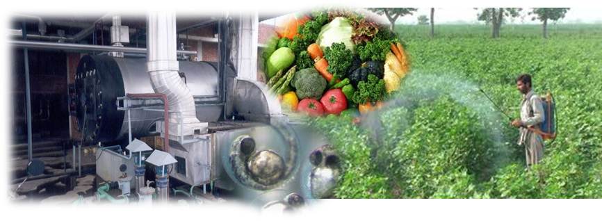 Cogeneration Systems for Pesticides Industry