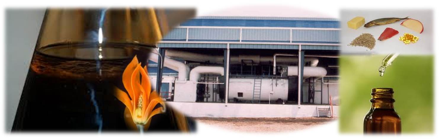 Cogeneration Systems for Solvent Extraction Plants