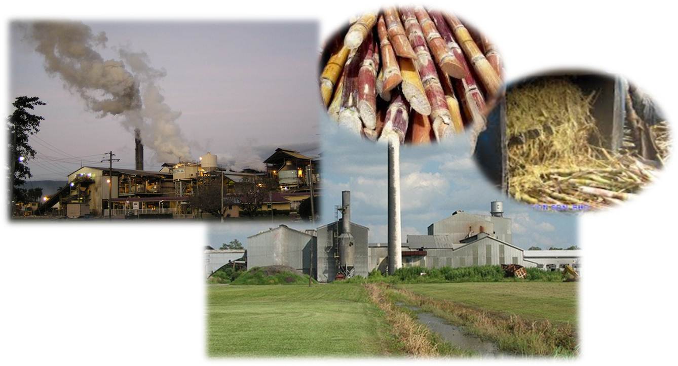 Cogeneration Systems for Sugar Mills