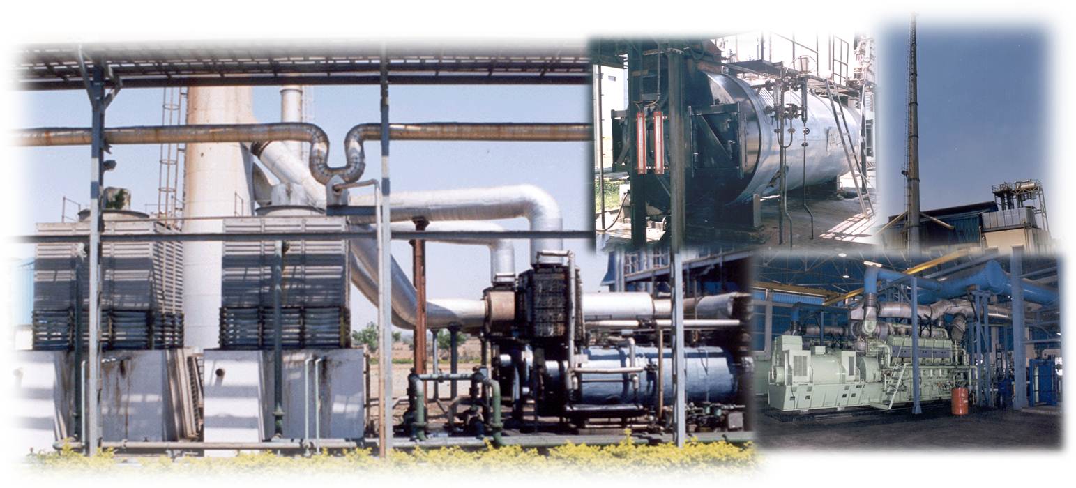 Cogeneration Systems for Textile Industry