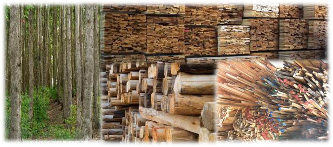 Cogeneration Systems for Wood & Timber Industry