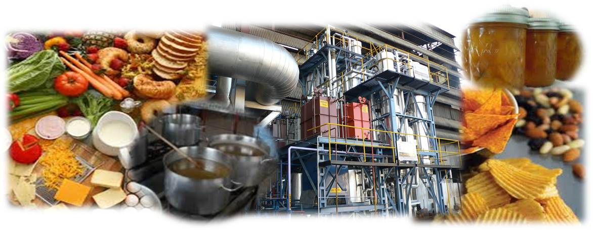 Cogeneration Systems for Food Industry