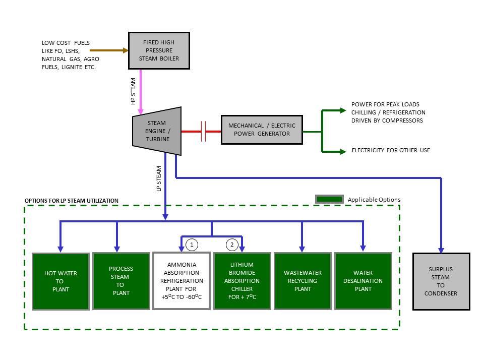 Cogeneration Plants