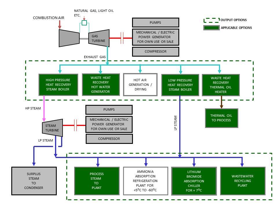 Cogeneration Plants