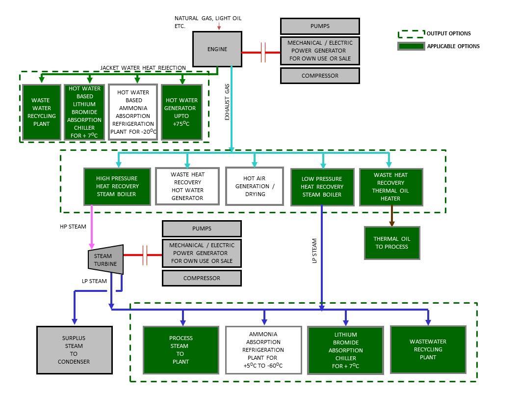 Cogeneration Plants