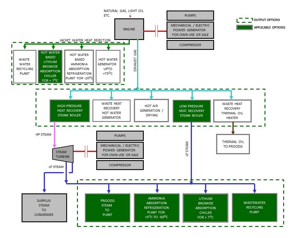 Cogeneration Plants