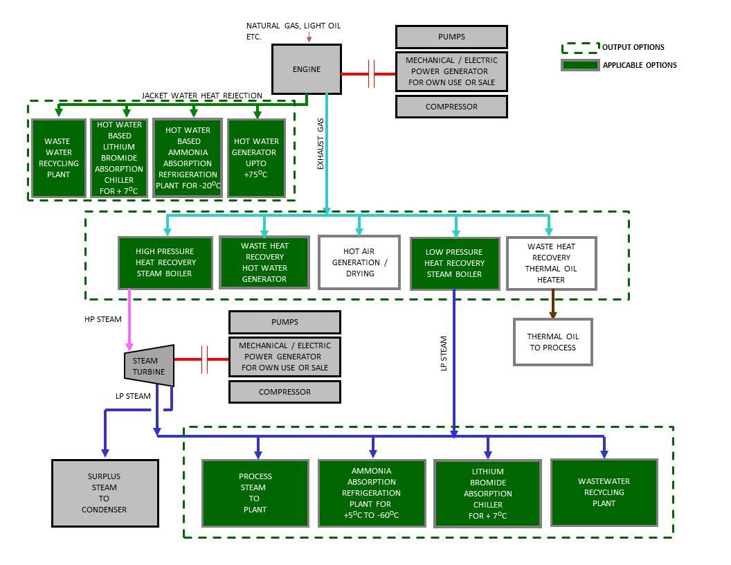 Cogeneration Plants