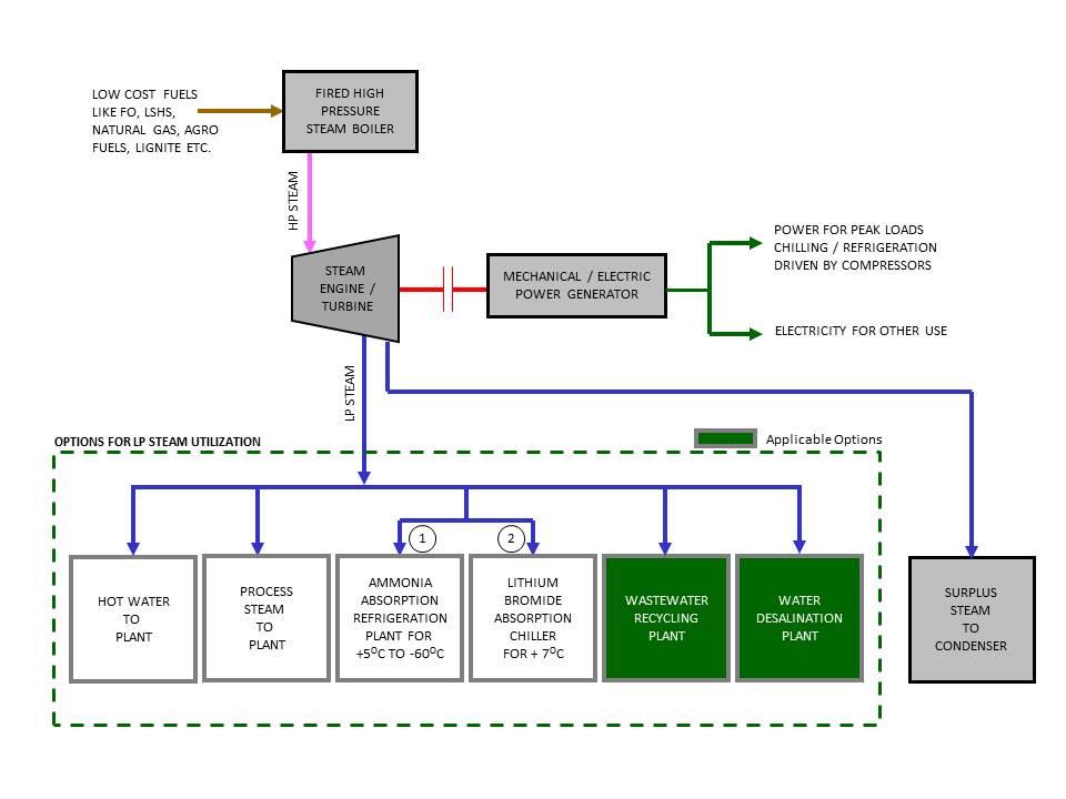 Cogeneration Plants