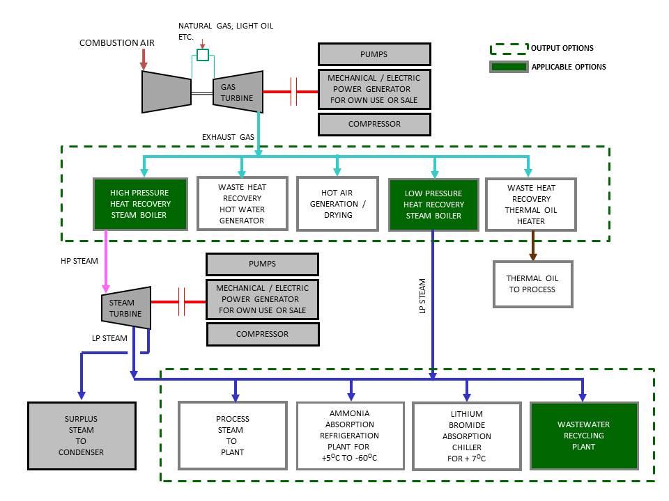 Cogeneration Plants