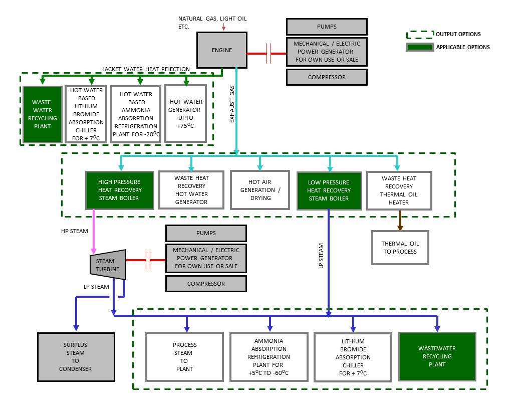 Cogeneration Plants