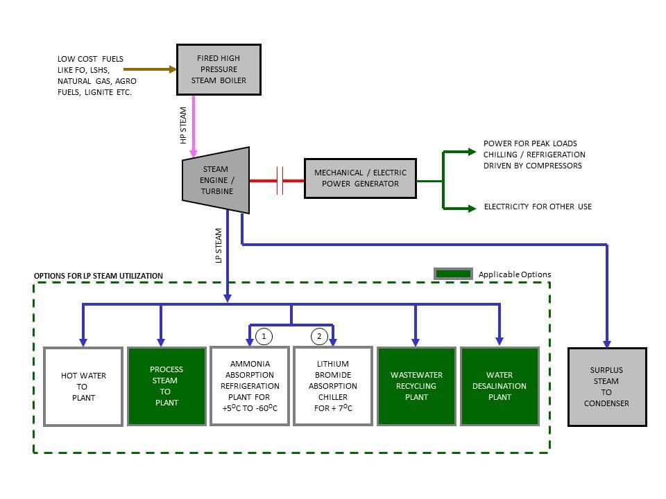 Cogeneration Plants