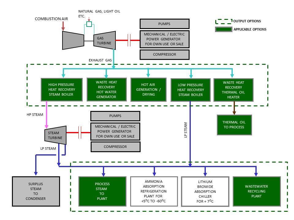 Cogeneration Plants