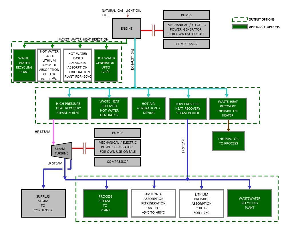 Cogeneration Plants