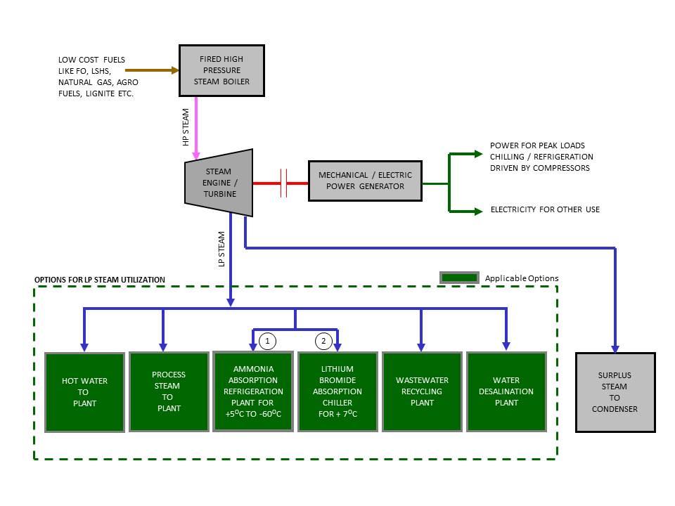 Cogeneration Plants