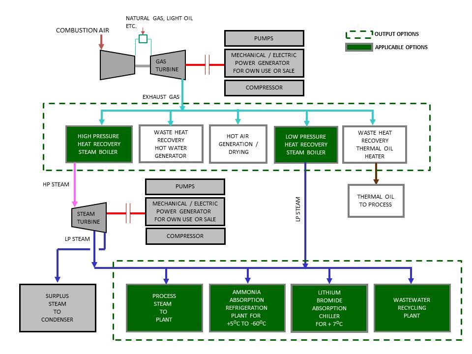 Cogeneration Plants