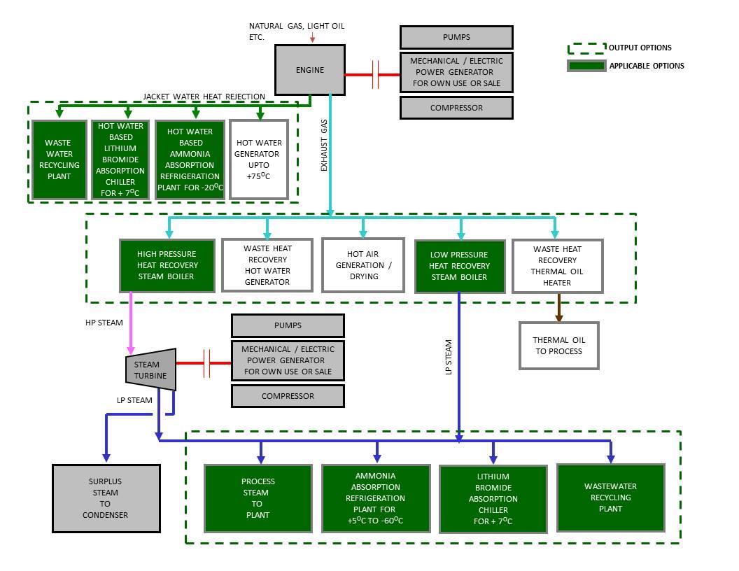 Cogeneration Plants