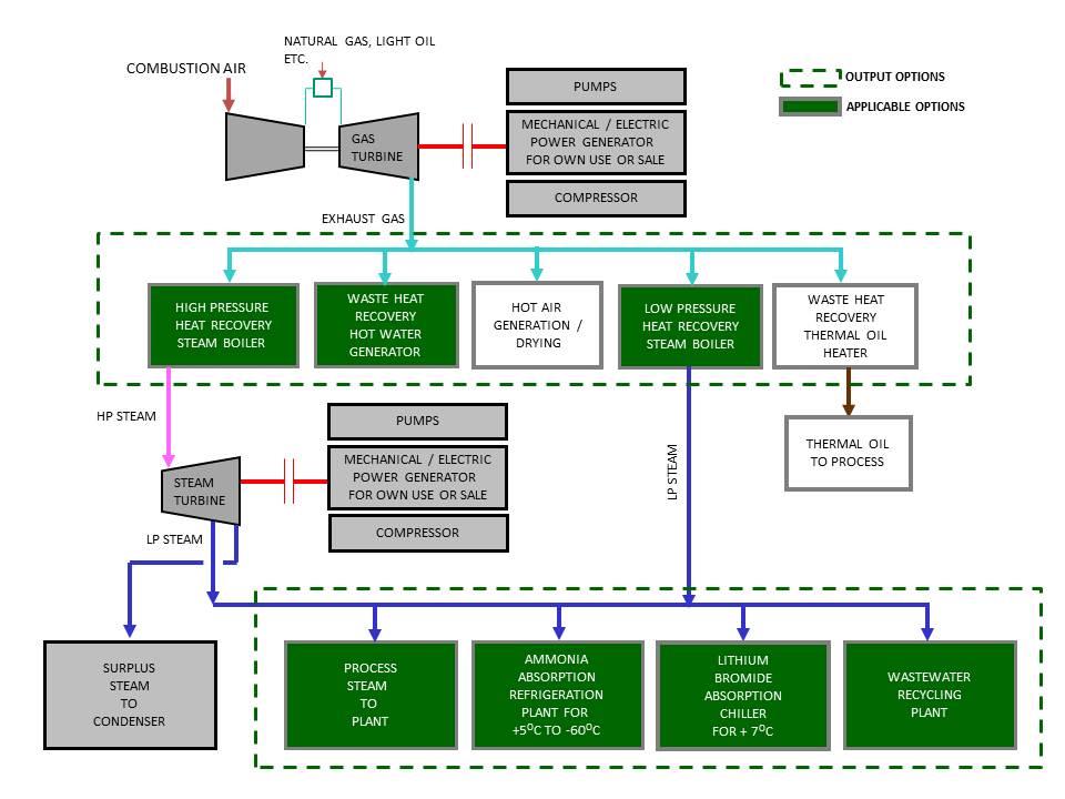 Cogeneration Plants