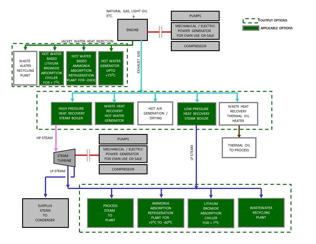 Cogeneration Plants