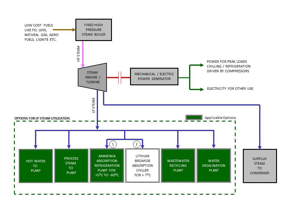 Cogeneration Plants