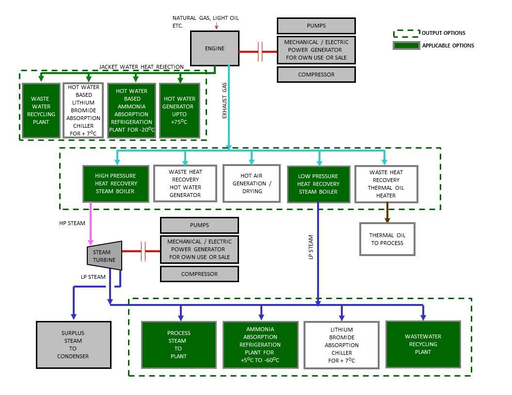 Cogeneration Plants