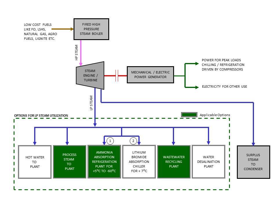 Cogeneration Plants