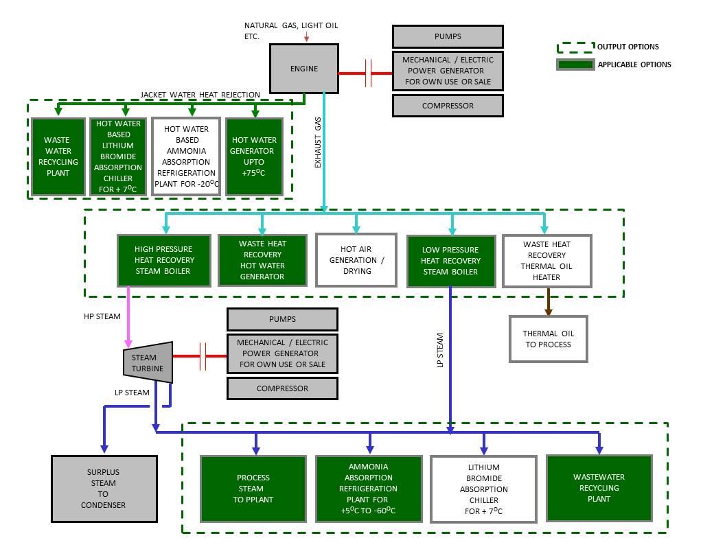 Cogeneration Plants