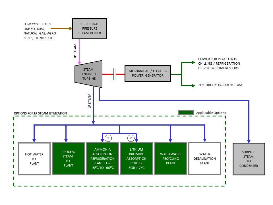 Cogeneration Systems for Fertilizer Industry | TESPL