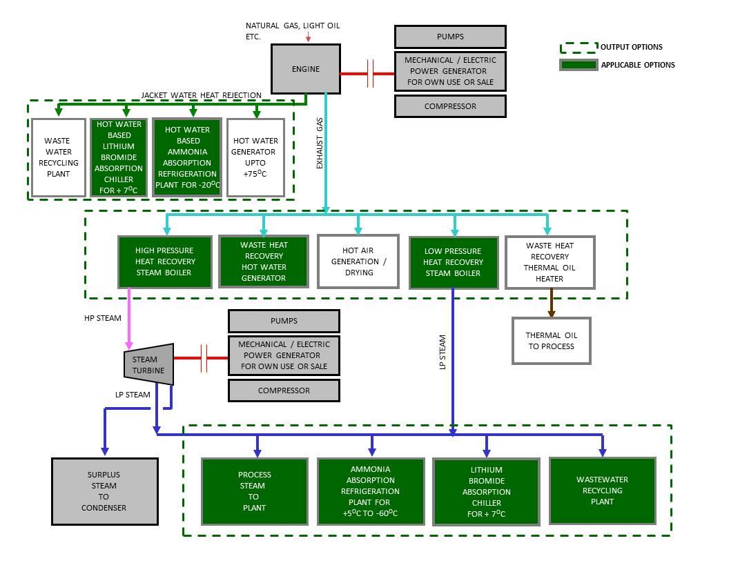 Cogeneration Systems for Fertilizer Industry | TESPL