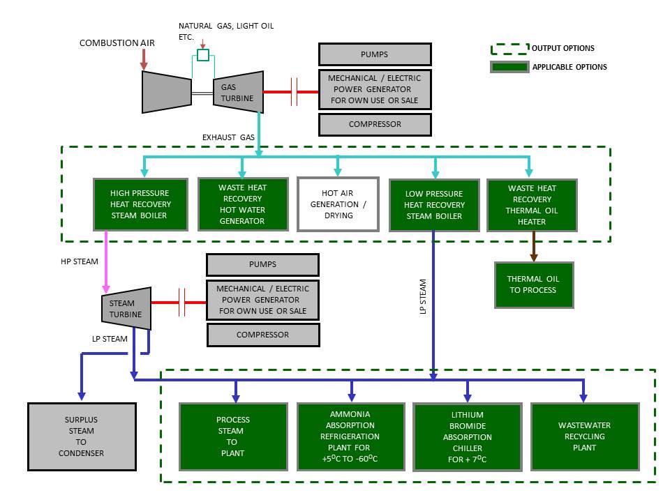 Cogeneration Systems for Five Star Industrial Estate