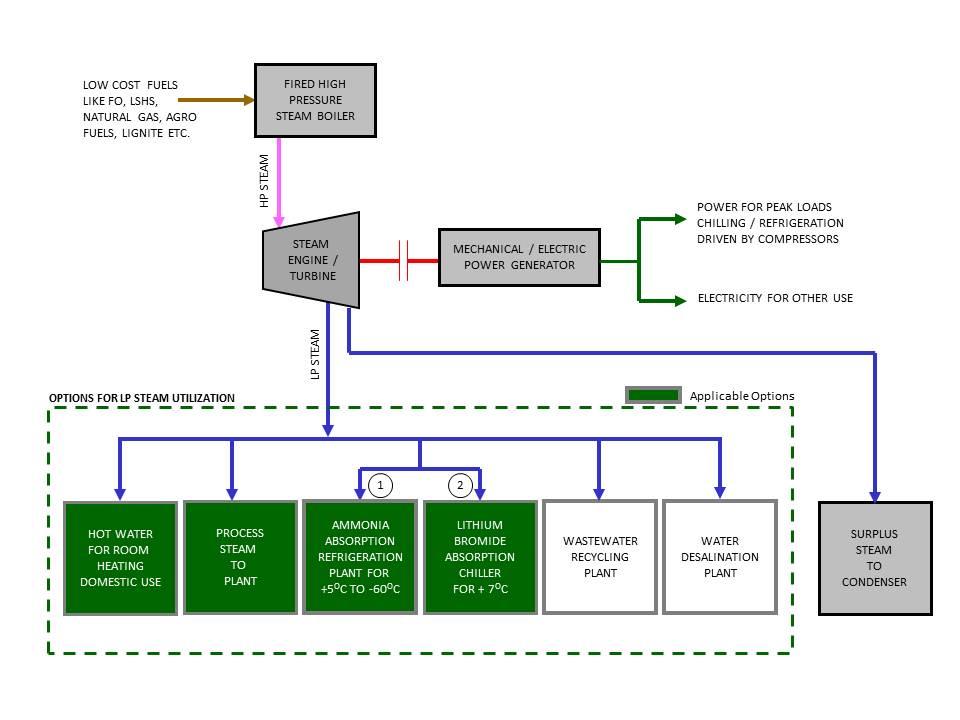 Cogeneration Plants