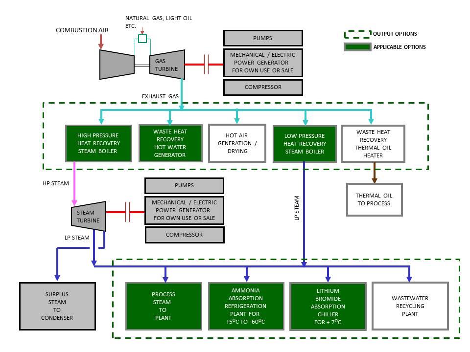 Cogeneration Plants