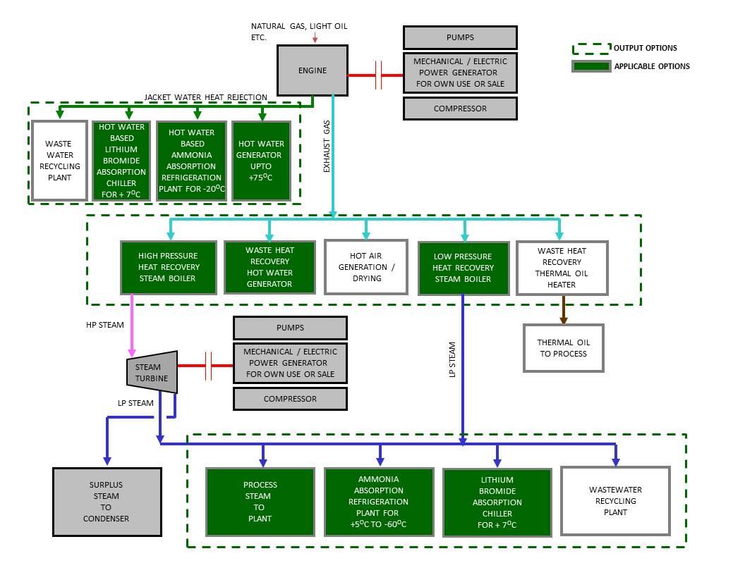 Cogeneration Plants