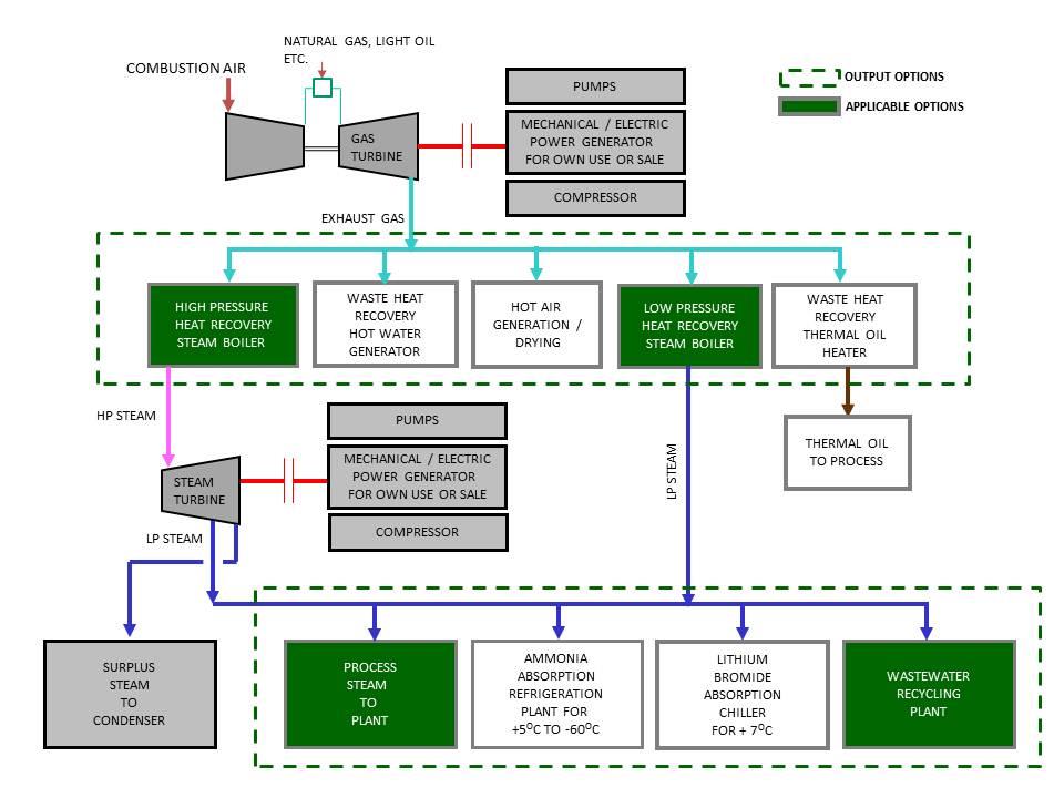 Cogeneration Plants