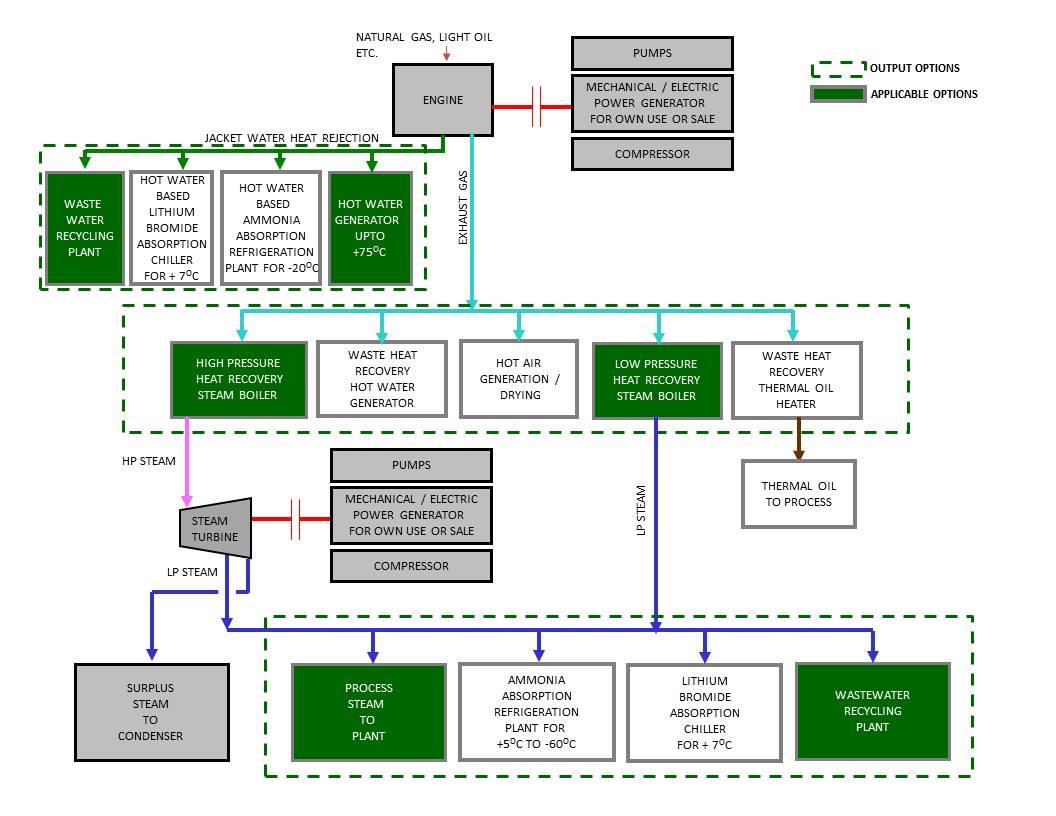 Cogeneration Plants