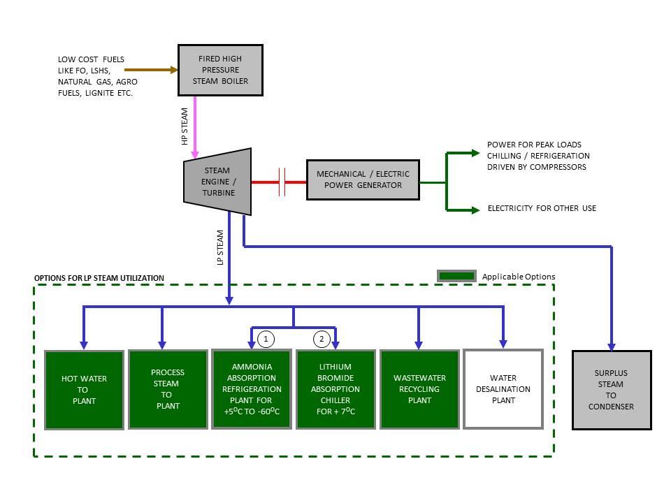 Cogeneration Plants