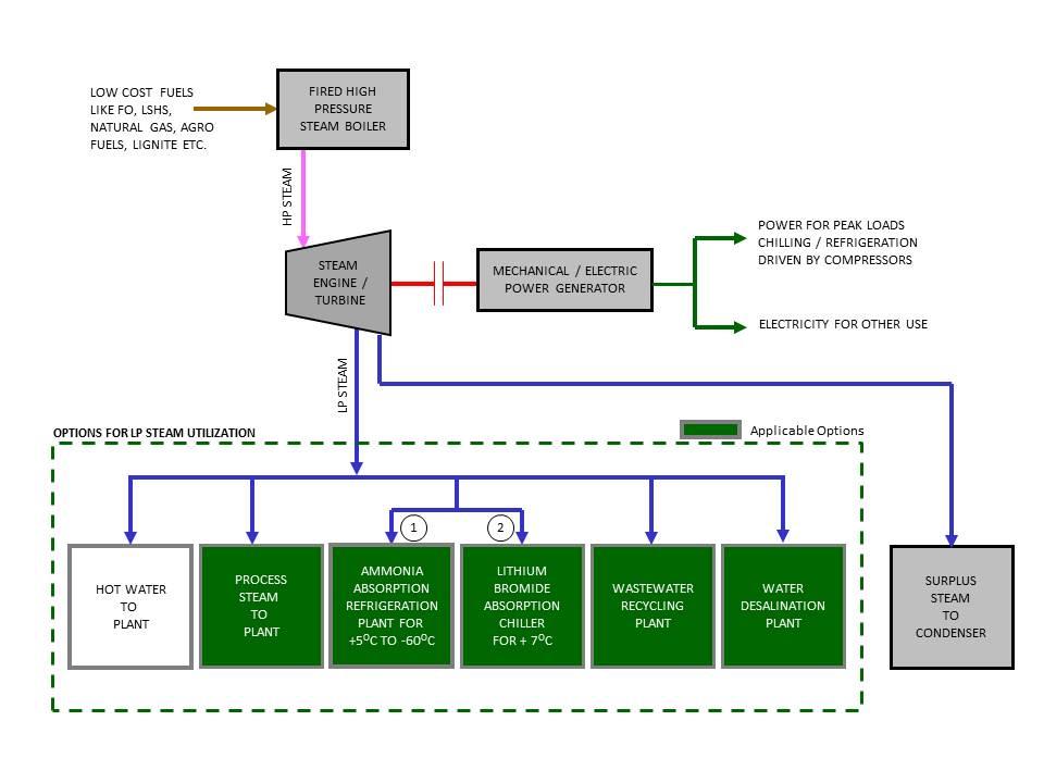 Cogeneration Plants