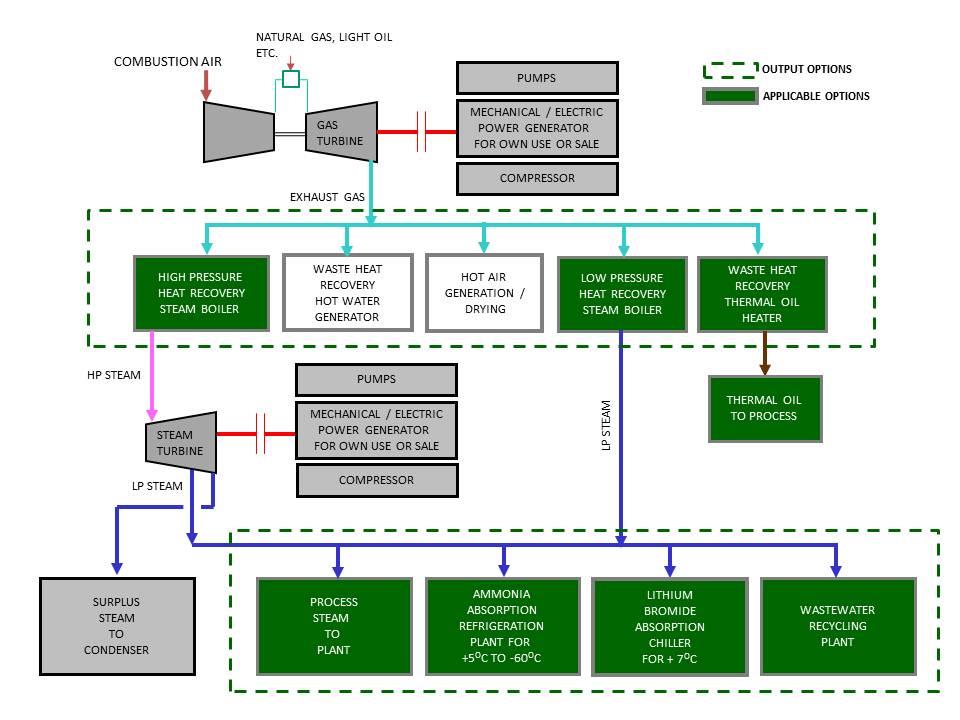 Cogeneration Plants