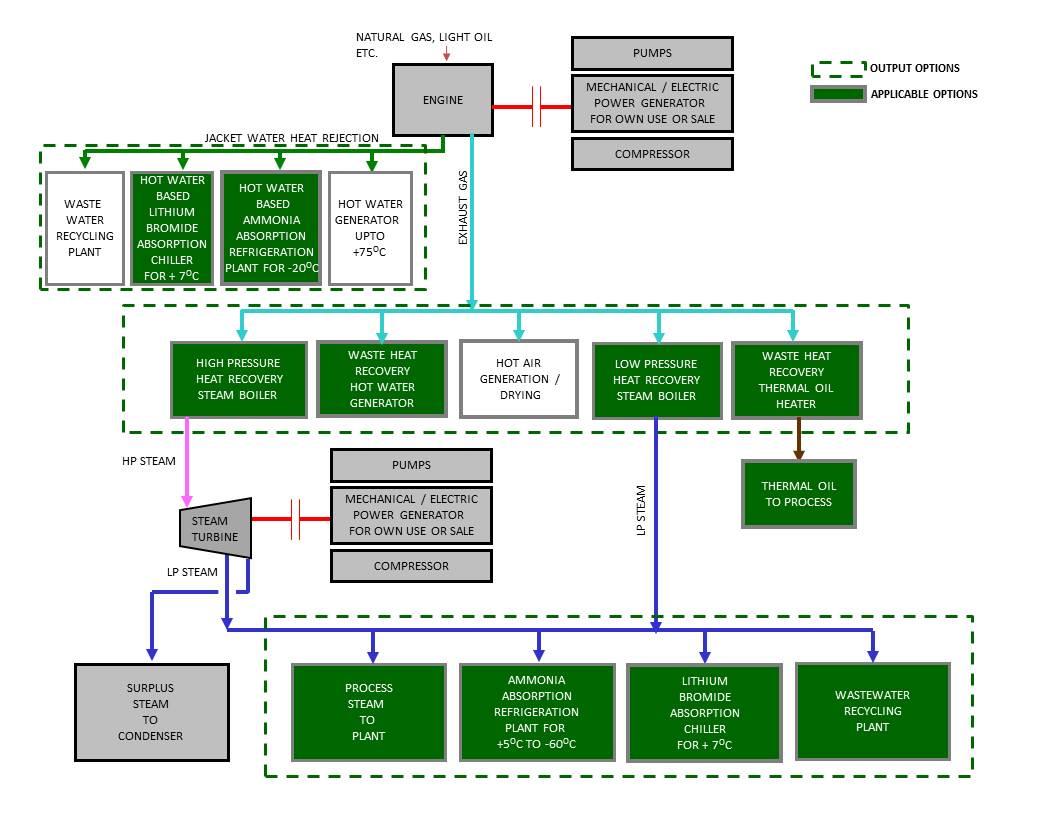 Cogeneration Plants