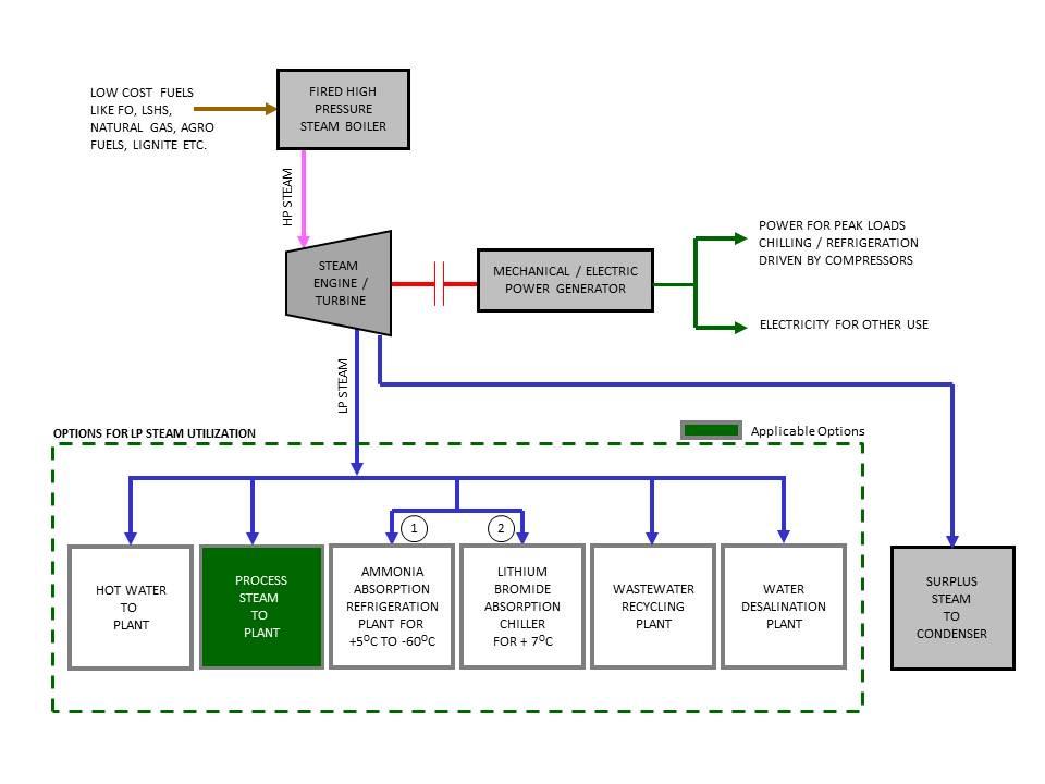 Cogeneration Plants