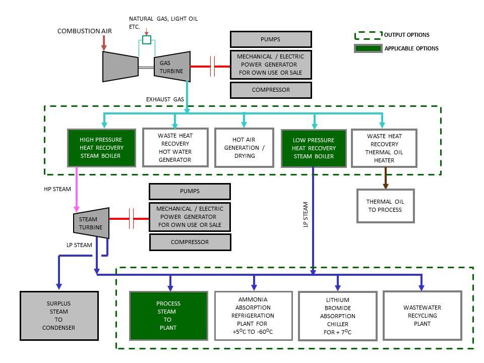 Cogeneration Plants