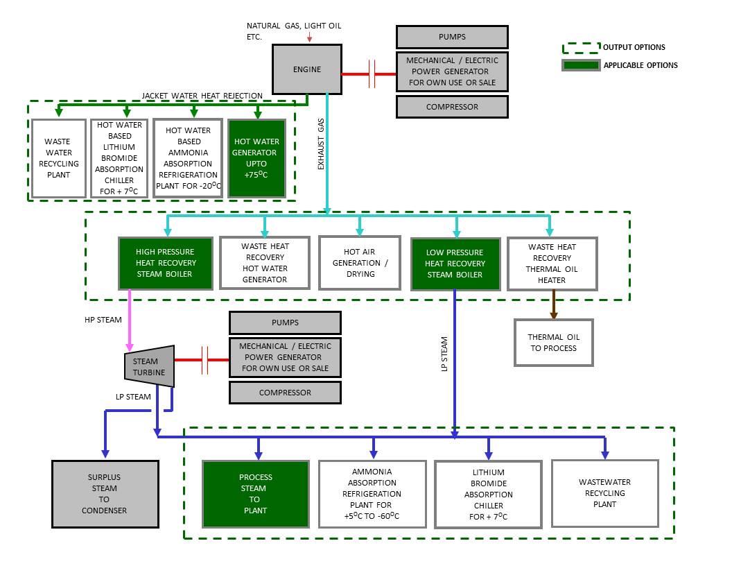 Cogeneration Plants