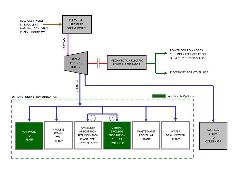 Cogeneration Plants