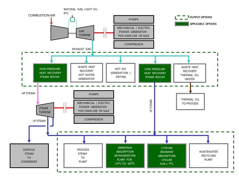 Cogeneration Plants