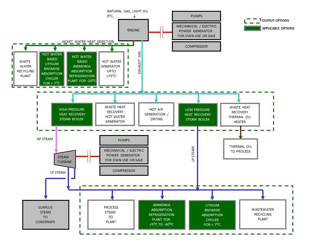 Cogeneration Plants