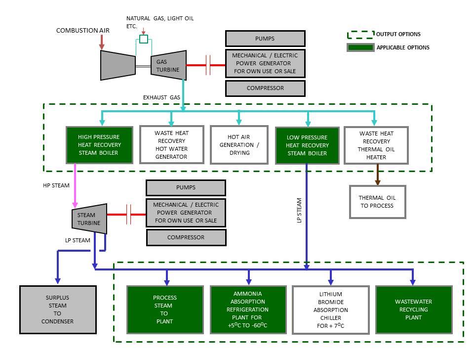 Cogeneration Plants