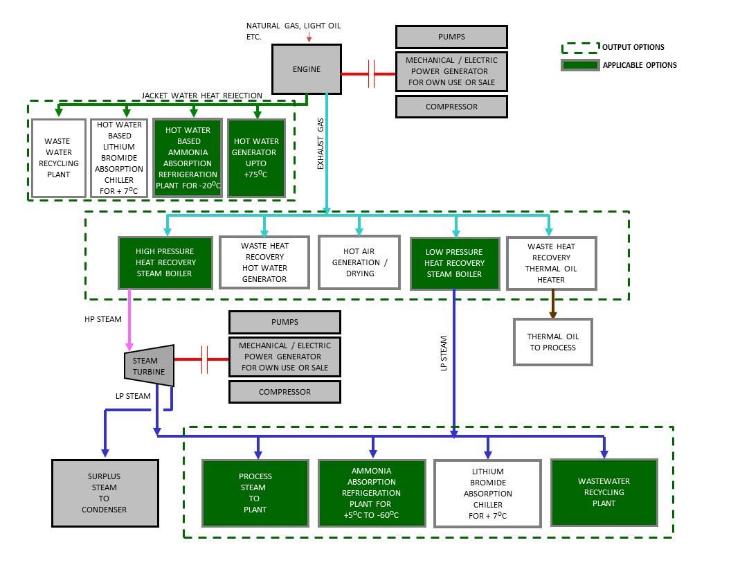 Cogeneration Plants